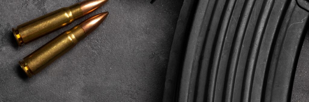 308 Caliber Cartridges