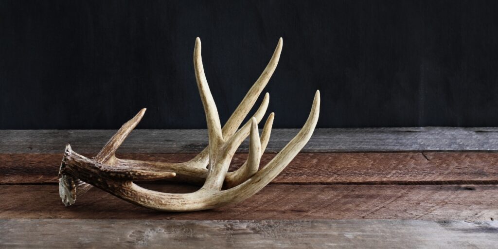 Suitable Calibers For “Small-Medium” Size Big Game