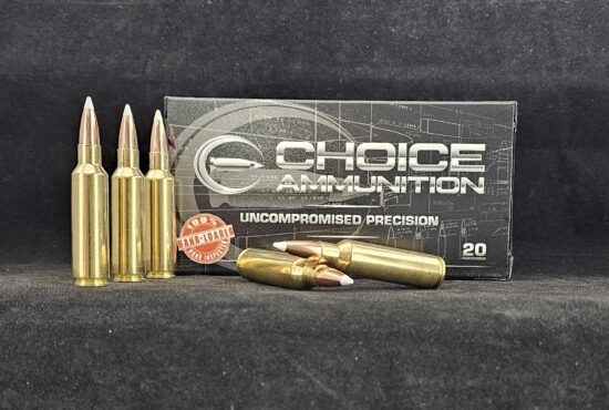 165ACCU300WSM20 Choice Ammunition .300 Winchester Short Magnum (WSM) 180 Grain Nosler AccuBond~100% Hand Loaded !!
