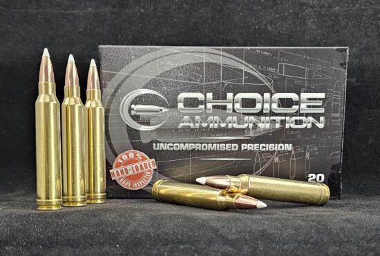 180ACCU300WIN20 Choice Ammunition .300 Winchester Magnum 180 Grain Nosler AccuBond~ 100% Hand Loaded !!