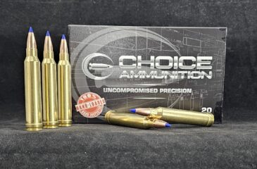 190LRXLF300WIN20 Choice Ammunition .300 Winchester Magnum 190 Grain Barnes LRX (Lead Free)~100% Hand-Loaded!!