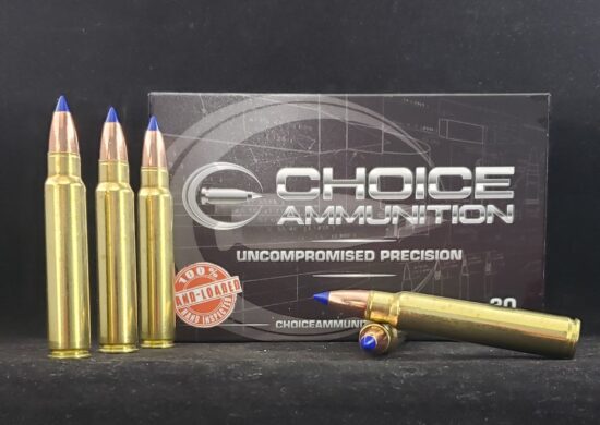250TTSXLF375RUG20 Choice Ammunition Choice Hunting .375 Ruger 250 Grain Barnes TTSX (Lead Free)~100% Hand-Loaded!!