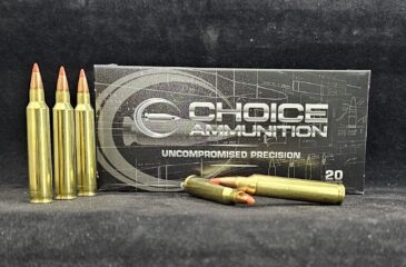 32NBT204RUG20 Choice Ammunition .204 Ruger 32 Grain Nosler Ballistic Tip~100% Hand Loaded !!