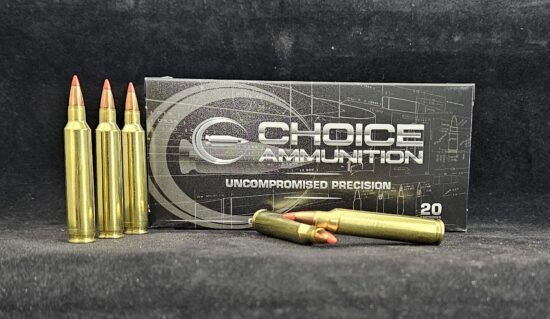 32NBT204RUG20 Choice Ammunition .204 Ruger 32 Grain Nosler Ballistic Tip~100% Hand Loaded !!