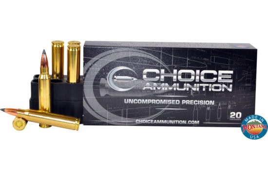 .270 Winchester 140 Grain Nosler Ballistic Tip (Hunting)~100%Hand-Loaded!!