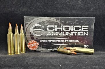 22-250 Remington 50 Grain Nosler Ballistic Tip~ 100% Hand Loaded !!