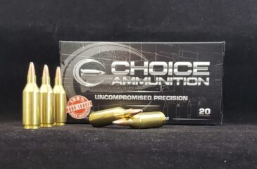 223 Winchester Super Short Magnum (WSSM) 60 Grain Soft Point~100% Hand-Loaded!!