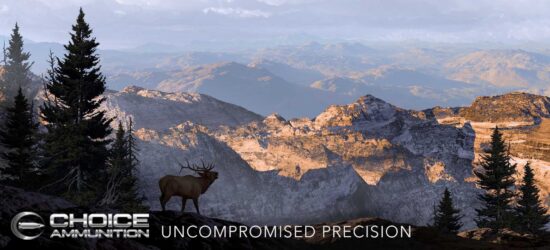 ChoiceAmmoBackground 450 BUSHMASTER 250 Grain BARNES TTSX (Lead Free)~100% HAND-LOADED!!