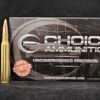 .270 Winchester 140 Grain Nosler Ballistic Tip (Hunting)~100%Hand-Loaded!!