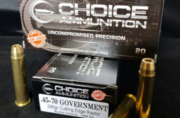 .45-70 GOVERNMENT 295 Grain RAPTOR HOLLOW POINT (LEAD FREE) 100% HAND LOADED !!