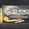 .243 Winchester 100 Grain SOFT POINT~100% HAND LOADED !!