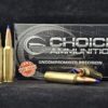 175LRXLF300WSM20 Choice Ammunition .300 Winchester Short Magnum (WSM) 175 Grain BARNES LRX (LEAD-FREE)~100% HAND LOADED !!
