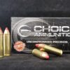 300FTX500SW20 Choice Ammunition .500 Smith & Wesson Magnum 300 Grain Hornady FTX~ 100% Hand-Loaded!!