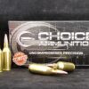 100SP243WSSM20 Choice Ammunition .243 Winchester Super Short Mag (WSSM)100 Grain Soft Point~100% HAND-LOADED!!