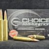 200PAR300WBY20 Choice Ammunition .300 Weatherby 200 Grain NOSLER PARTITION~100% HAND LOADED!!
