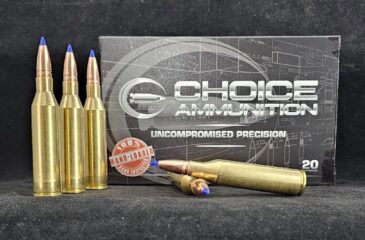 190LRXLF300NORMA20 Choice Ammunition .300 NORMA MAGNUM 190 Grain BARNES LRX (LEAD FREE)~100% HAND-LOADED!!
