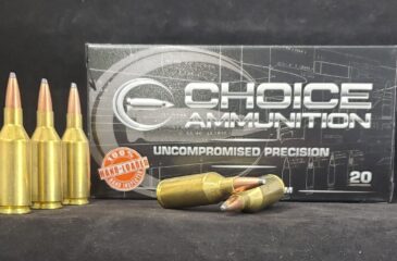 87SP243WSSM20 Choice Ammunition .243 Winchester 87 Grain SOFT POINT (LOW RECOIL)~100% HAND LOADED !!