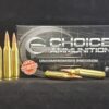 .243 Winchester  90 Grain NOSLER E-TIP (LEAD FREE)~100% HAND LOADED !!