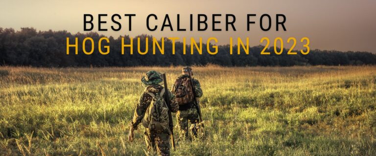 best caliber for hog hunting