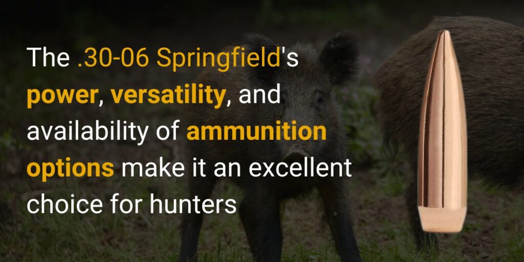 30-06 Springfield caliber