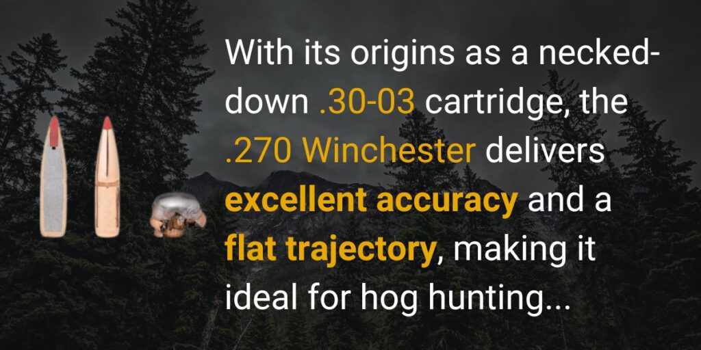 .270 Winchester bullet ideal for hog hunting
