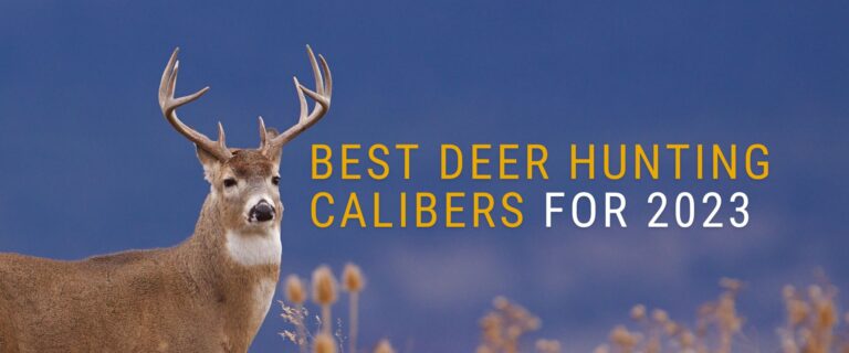 Best Deer Hunting Calibers for 2023