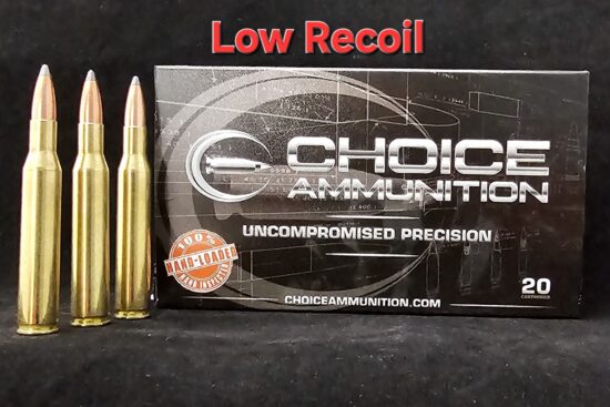 130PAR270WIN20 .270 Winchester 130 Grain Nosler Partition (LOW RECOIL)~100% Hand-Loaded!!