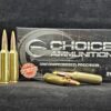 6.8 Western 170 Grain Nosler Ballistic Tip~100% Hand-Loaded!!