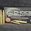 175SUBX3030WIN20 Choice Ammunition 30-30 WINCHESTER 175 GRAIN HORNADY SUB-X (SUBSONIC)~100% HAND-LOADED!!