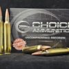 20TSXLF300RUM20 Choice Ammunition .300 Remington Ultra Magnum (RUM) 200 Grain BARNES TSX (LEAD FREE)~100% HAND-LOADED!!