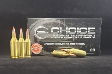 223 Winchester Super Short Magnum (WSSM) 50 Grain Nosler Ballistic Tip~100% Hand-Loaded!!