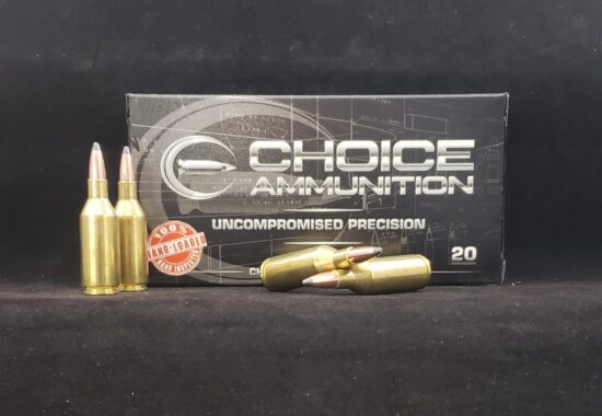 100PAR243WSSM20 Choice Ammunition .243 Winchester Super Short Mag (WSSM)100 Grain Nosler Partition~100% Hand-Loaded!!