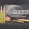 182HHT300WIN20 Choice Ammunition Hunter Choice (1) .300 Winchester Magnum 182 Grain Hammer Hunter (tipped)~100% Hand Loaded !!